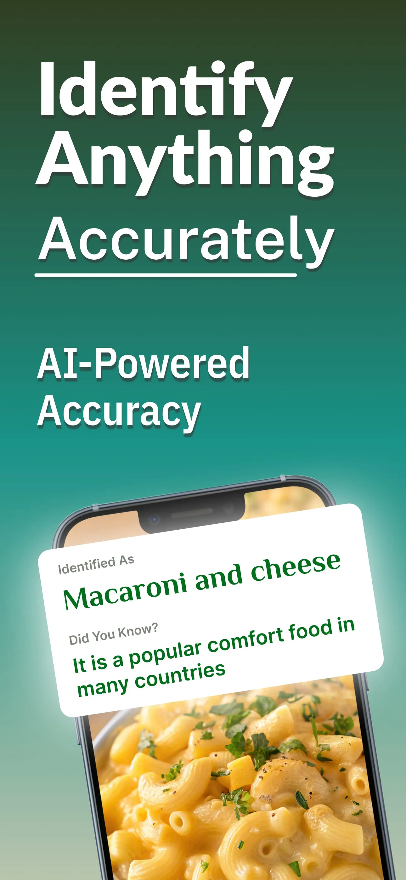 Identify Anything Lens Camera