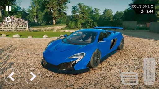 Sport McLaren 650 Extreme Race