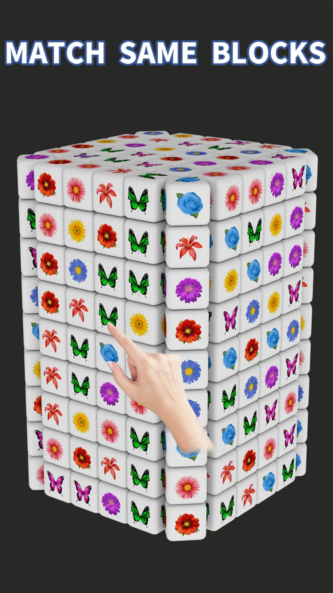 Cube Master 3D®