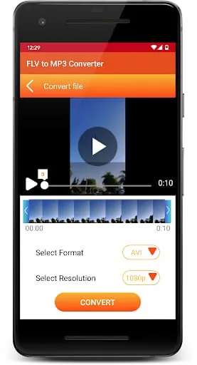 FLV to MP3 Converter