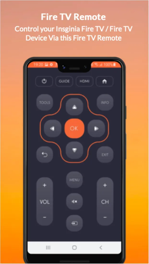 Insignia Fire TV Remote
