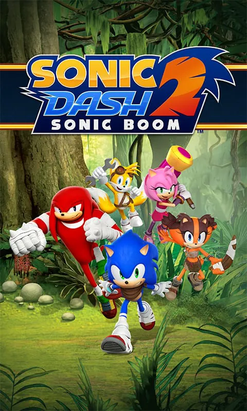 Sonic Boom Dash