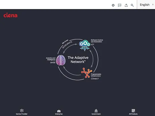 Ciena's Product Portfolio