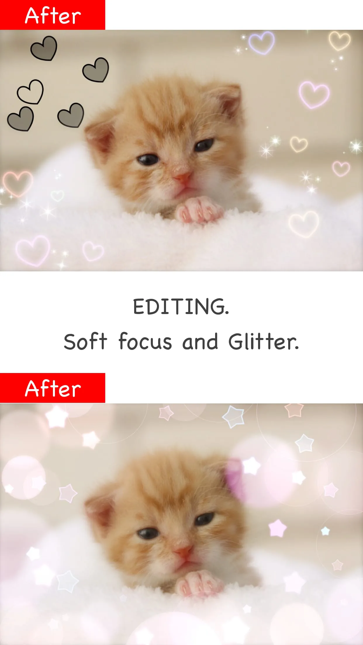 GlitterEditor Lite