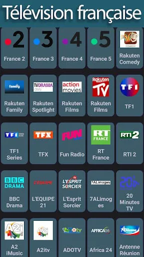 Public France Radio