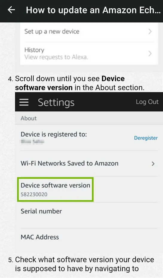 Amazon Echo Dot 4th Gen Guide