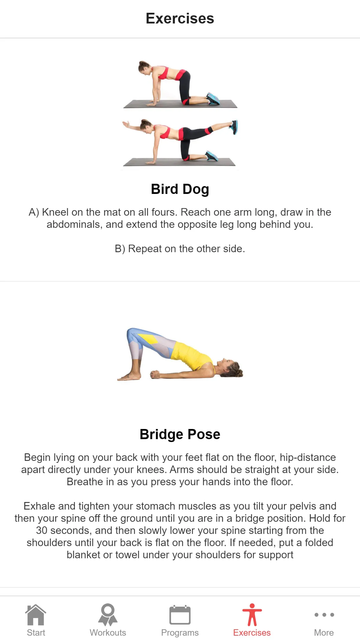 Exercise Plan for Seniors