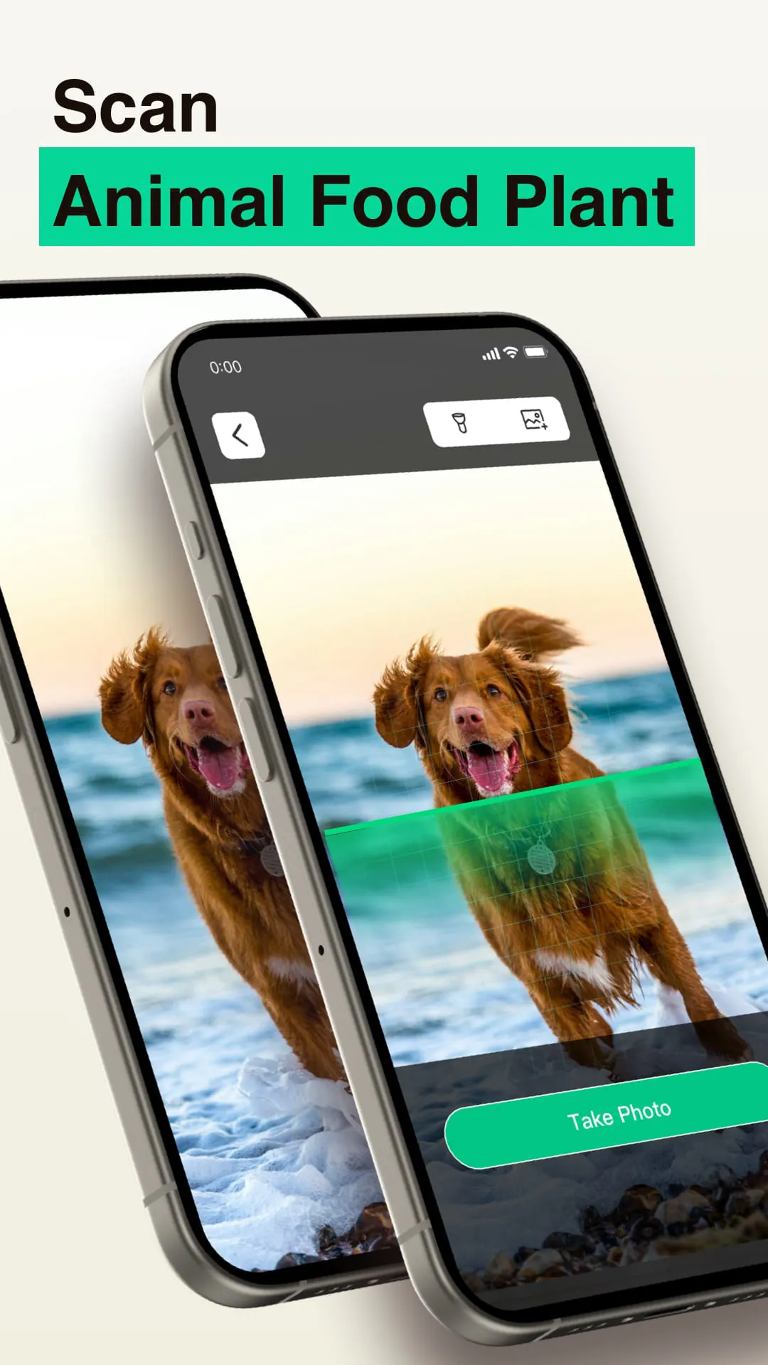Safe QR Barcode OCR AI Scanner