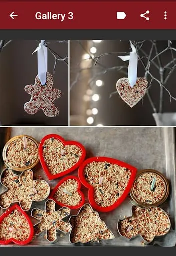 Christmas Ornament Ideas