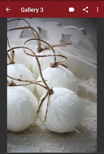 Christmas Ornament Ideas