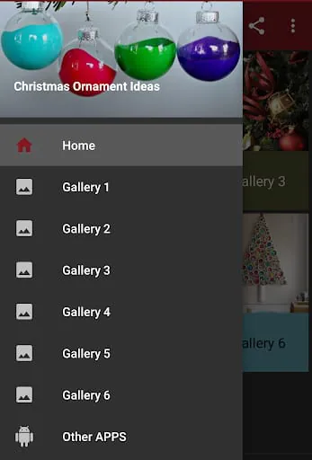 Christmas Ornament Ideas