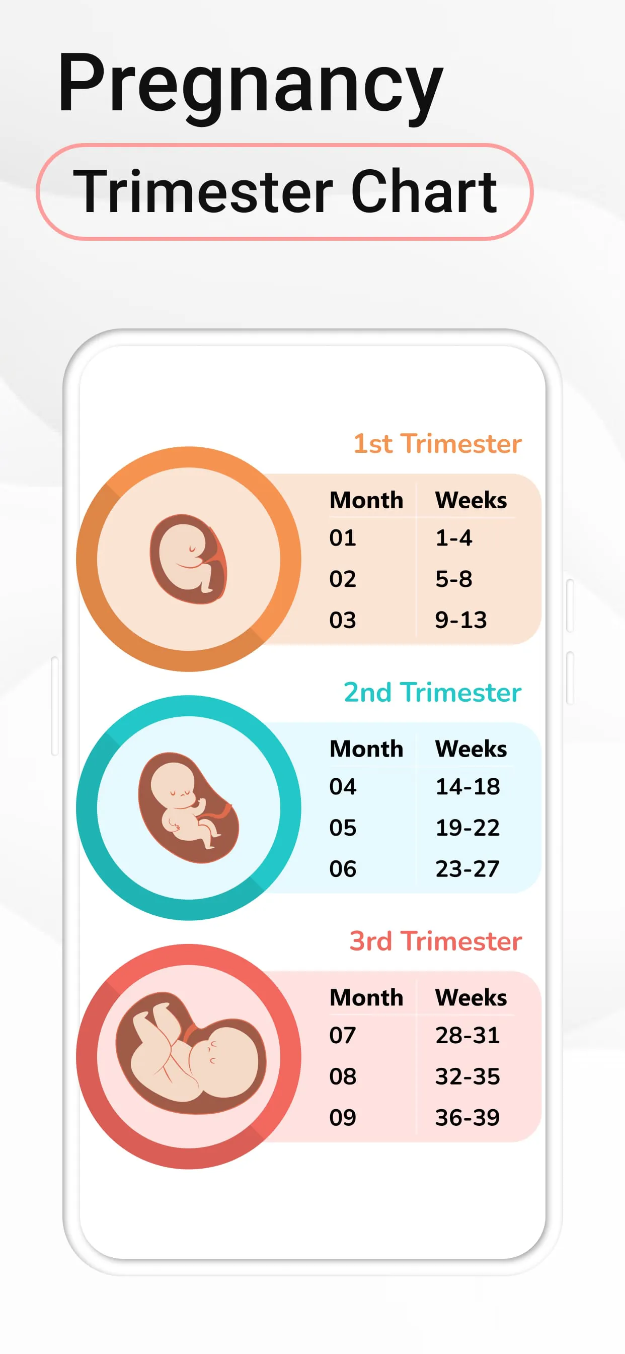 Pregnancy Calculator