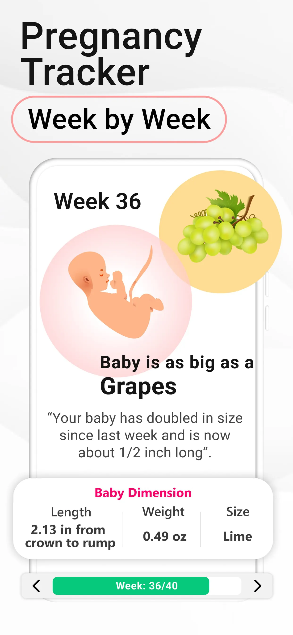 Pregnancy Calculator