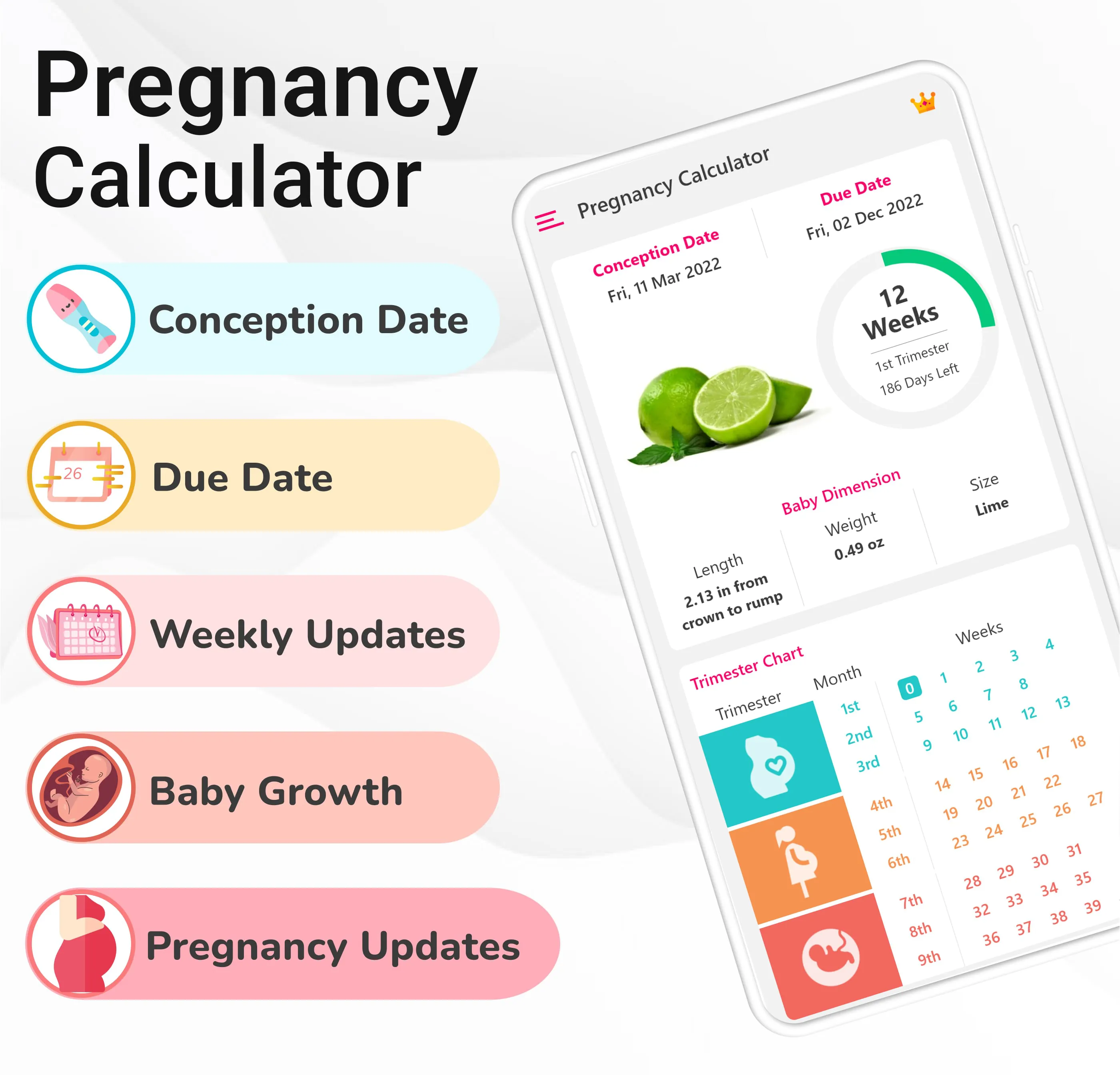 Pregnancy Calculator