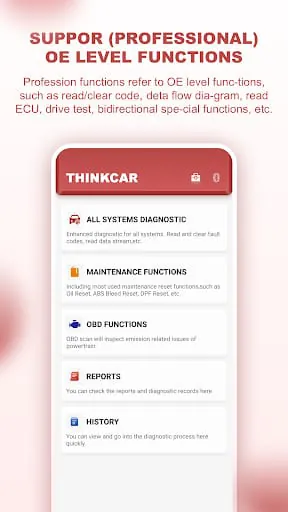 ThinkDiag mini