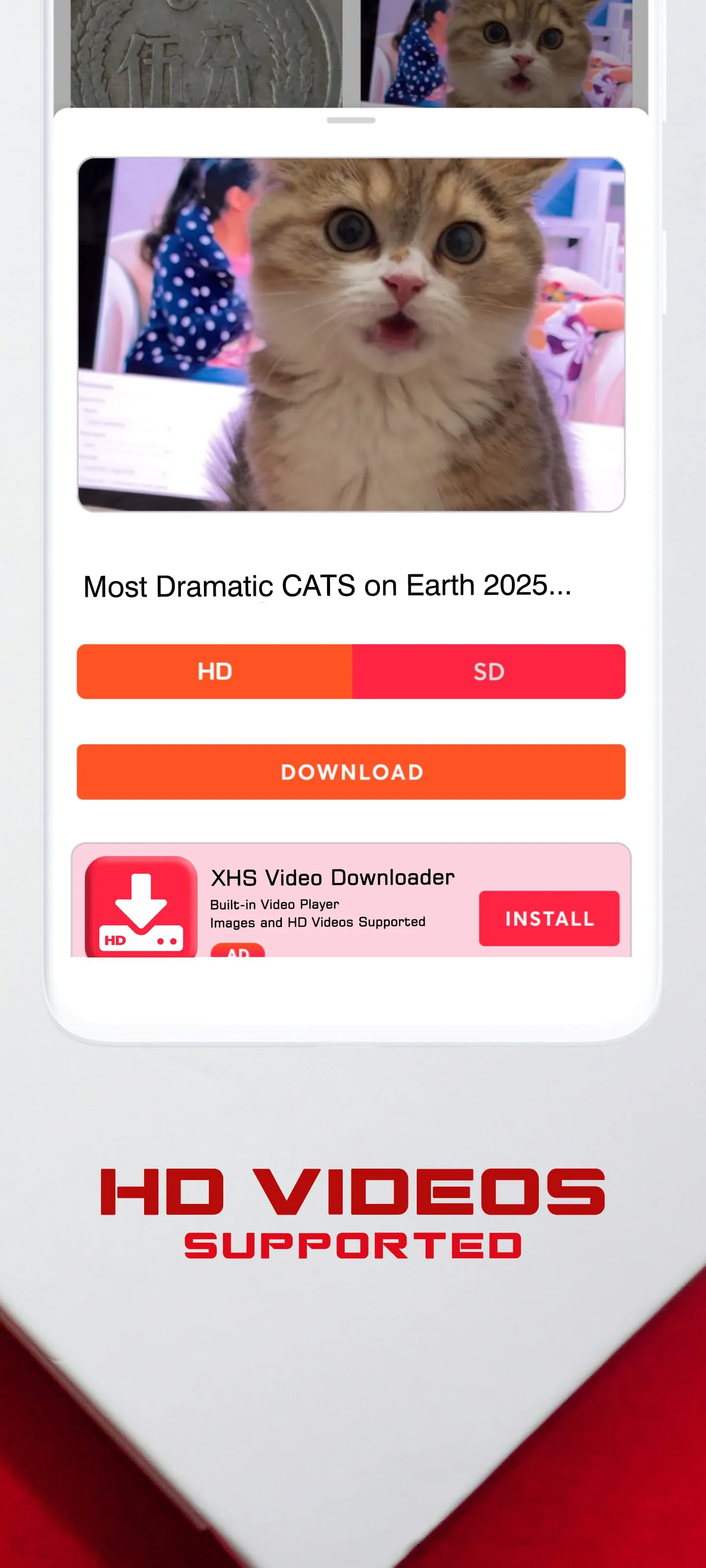 RedNote Video Downloader