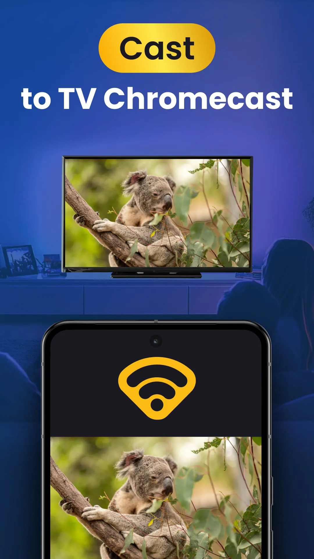 Smart IPTV Pro