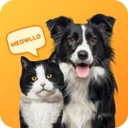 Pet Translator Prank