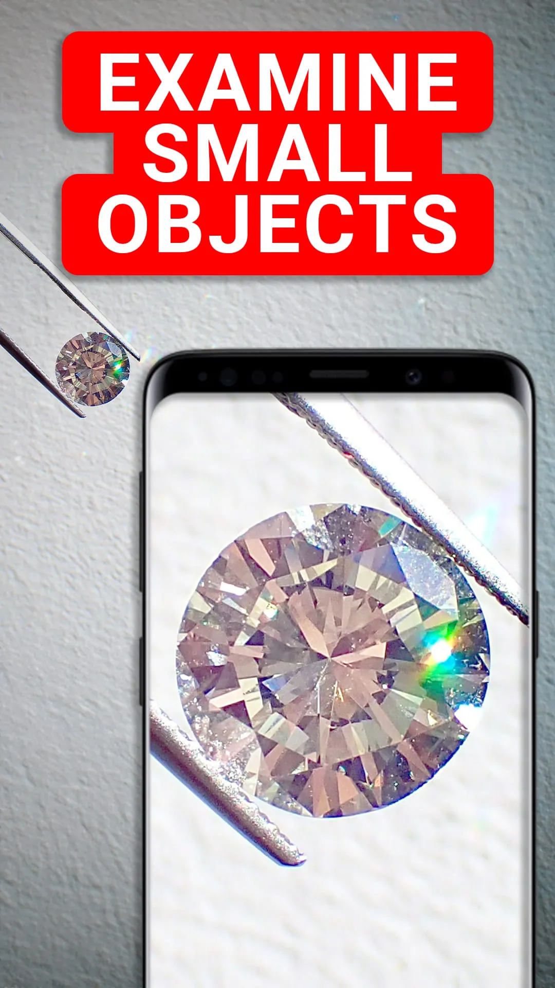 Magnifying Glass & Microscope