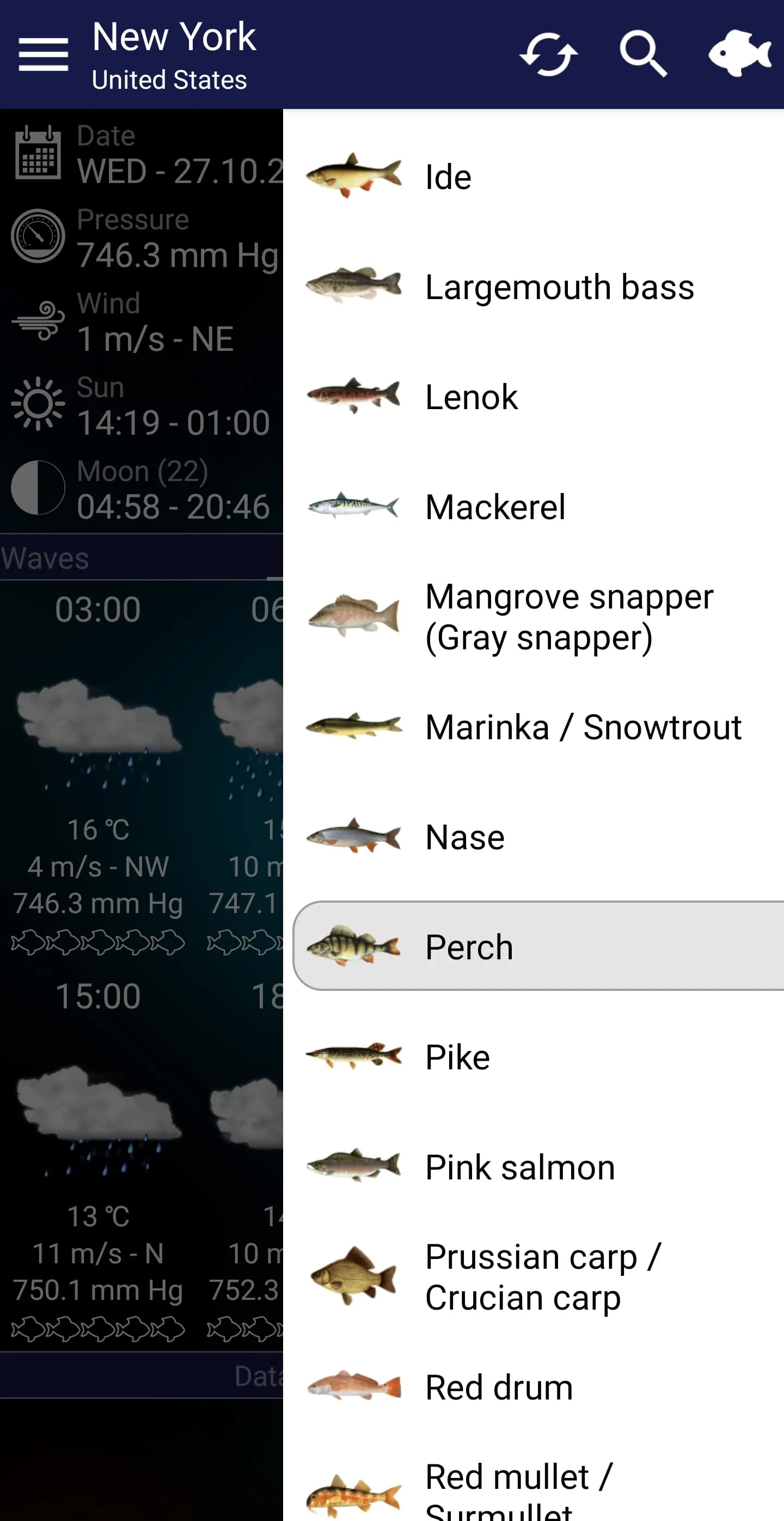 Fishing forecast