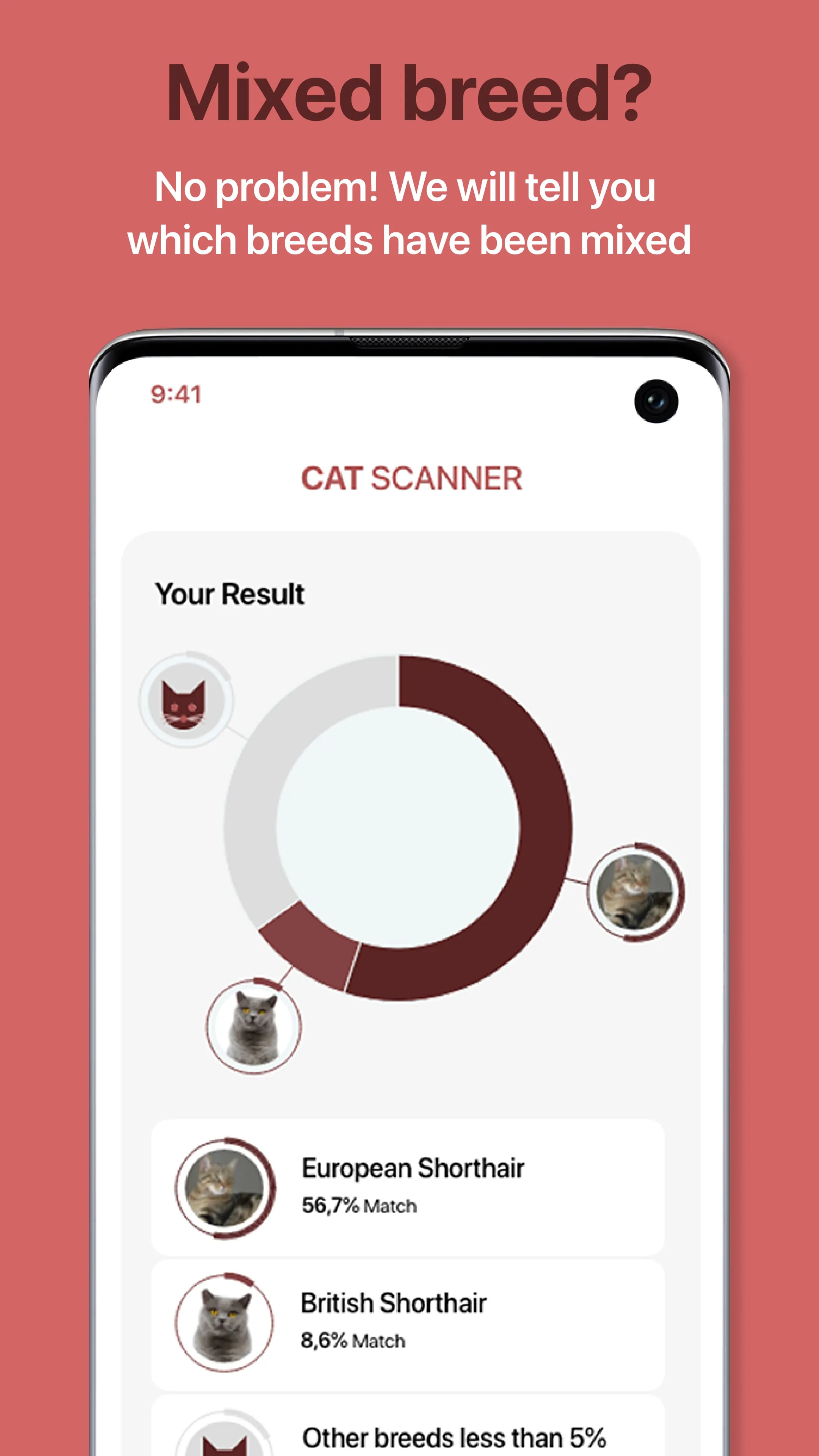 Cat Scanner