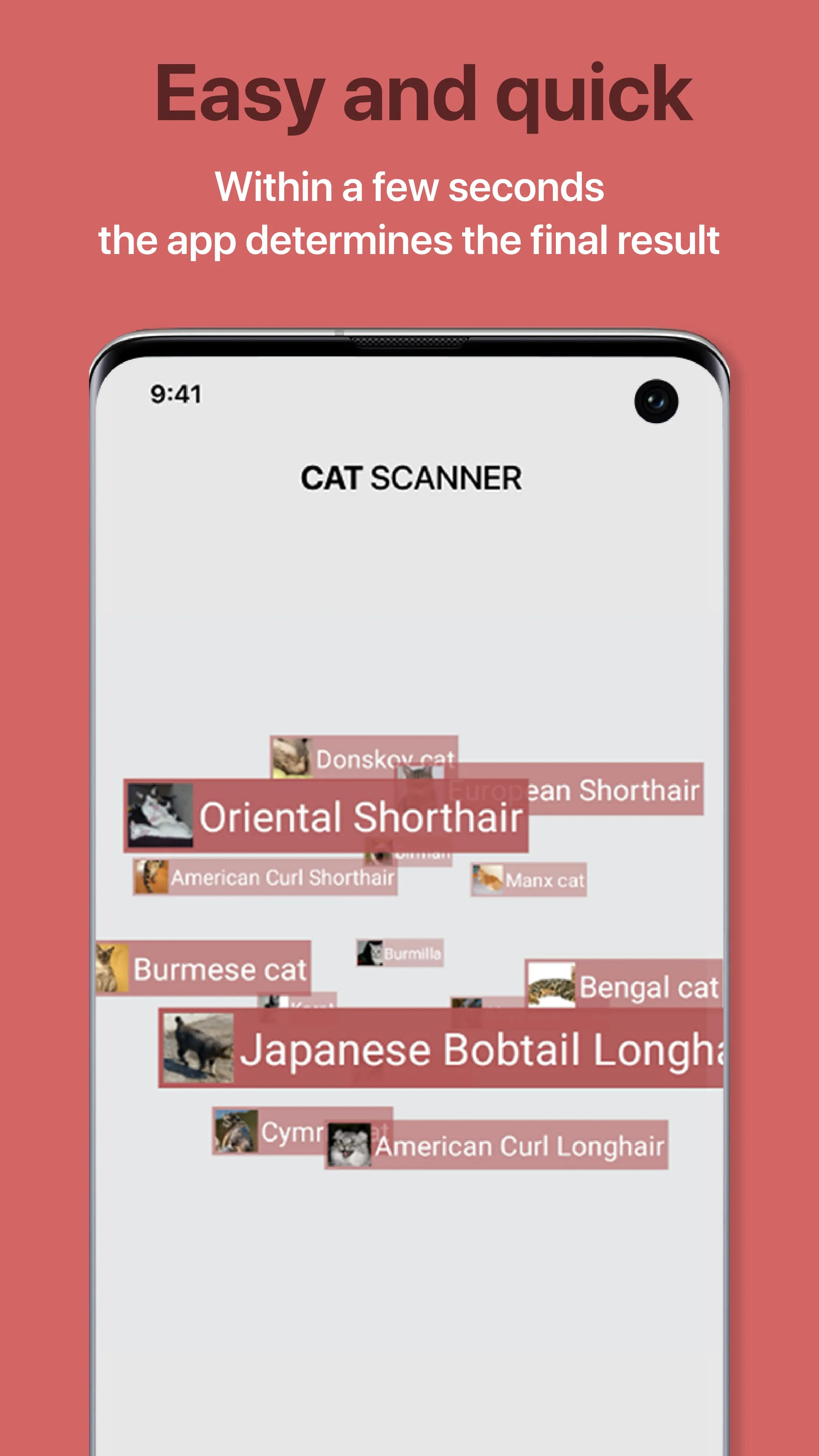 Cat Scanner