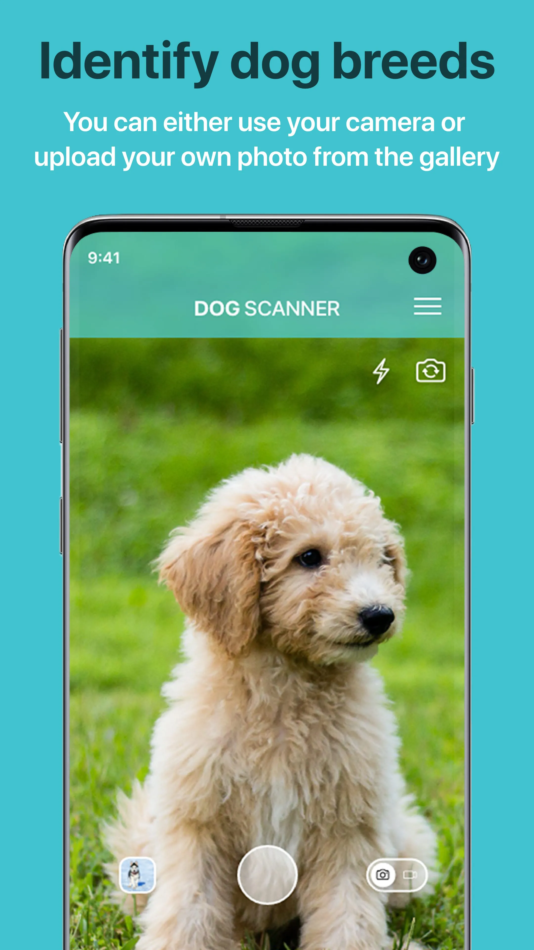 Dog Scanner