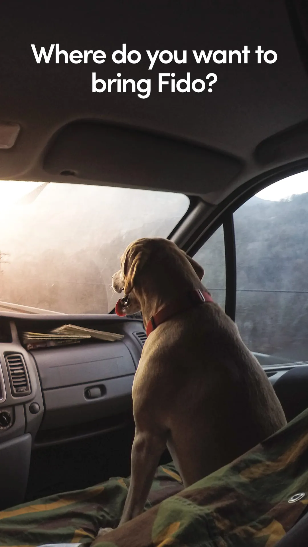 BringFido Pet Friendly Hotels