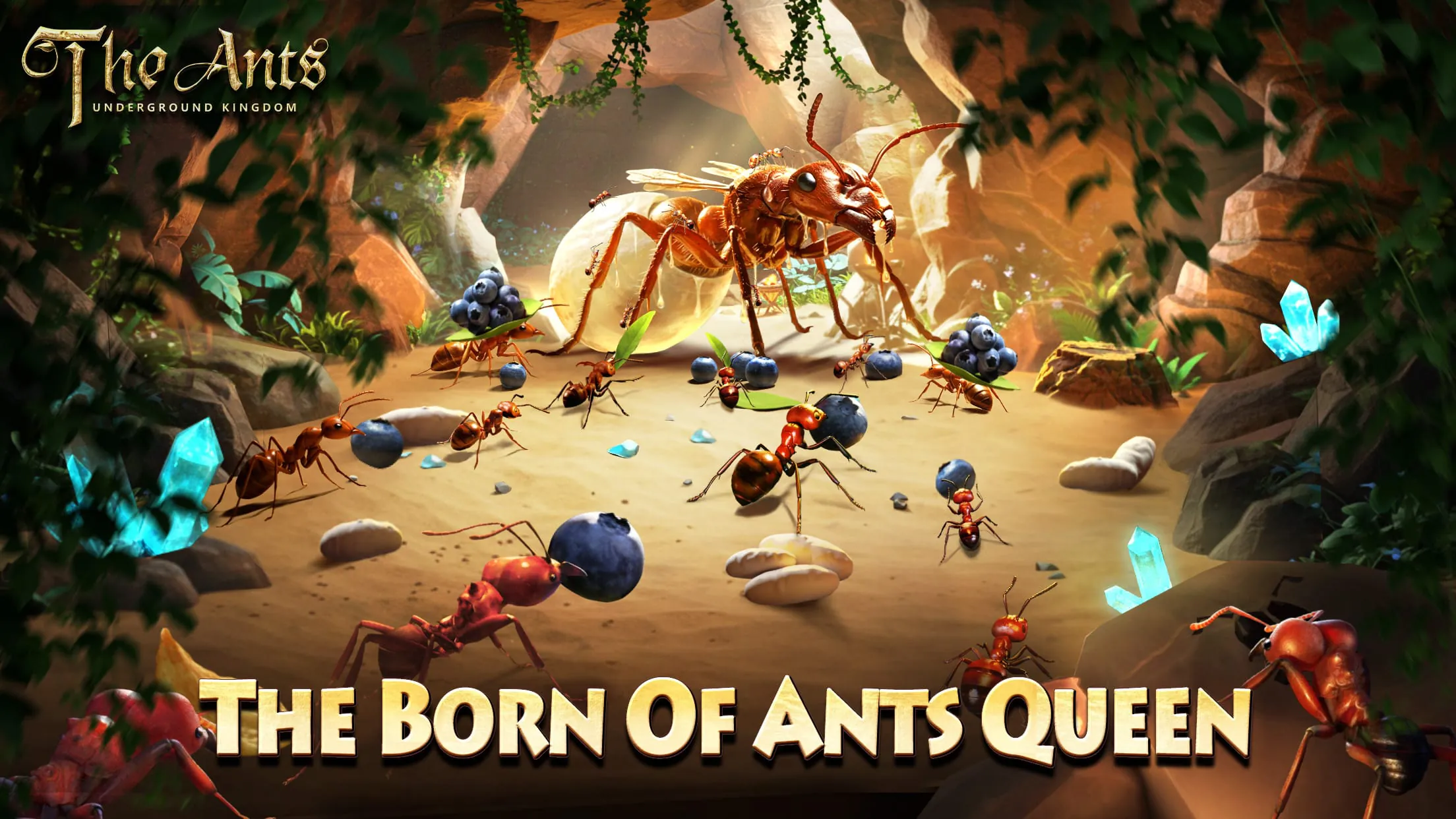 The Ants