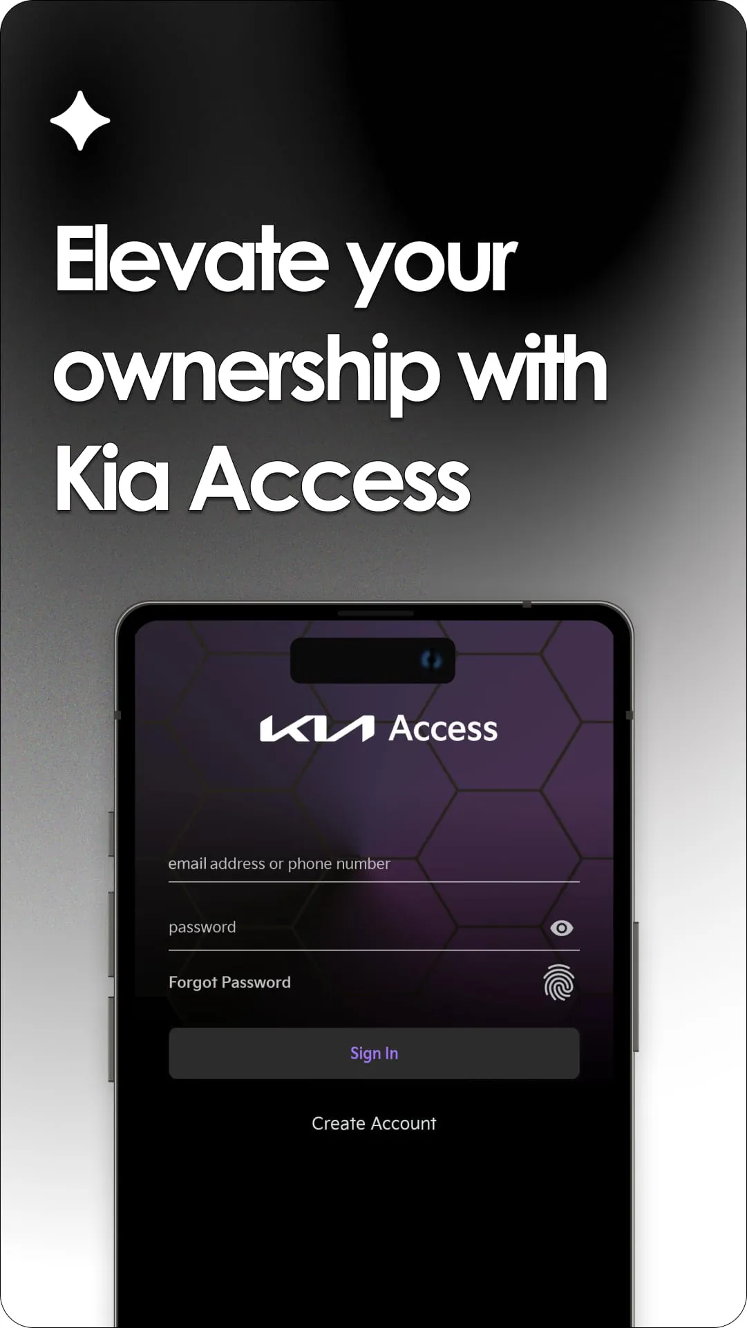 Kia Access