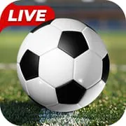 Soccer Live Scores