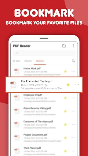 PDF Reader