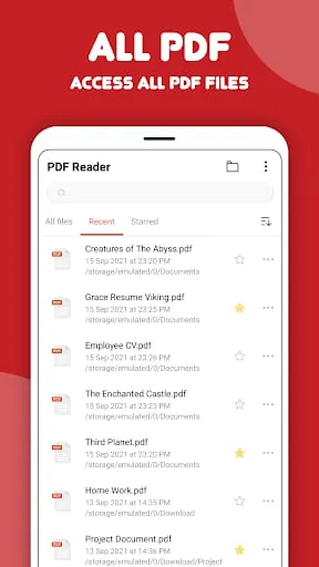 PDF Reader