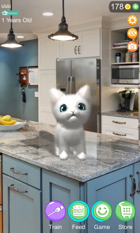 AR Cat