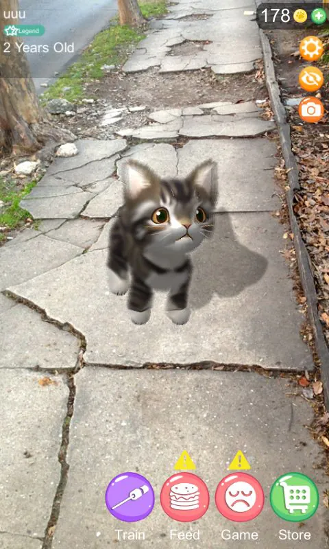 AR Cat