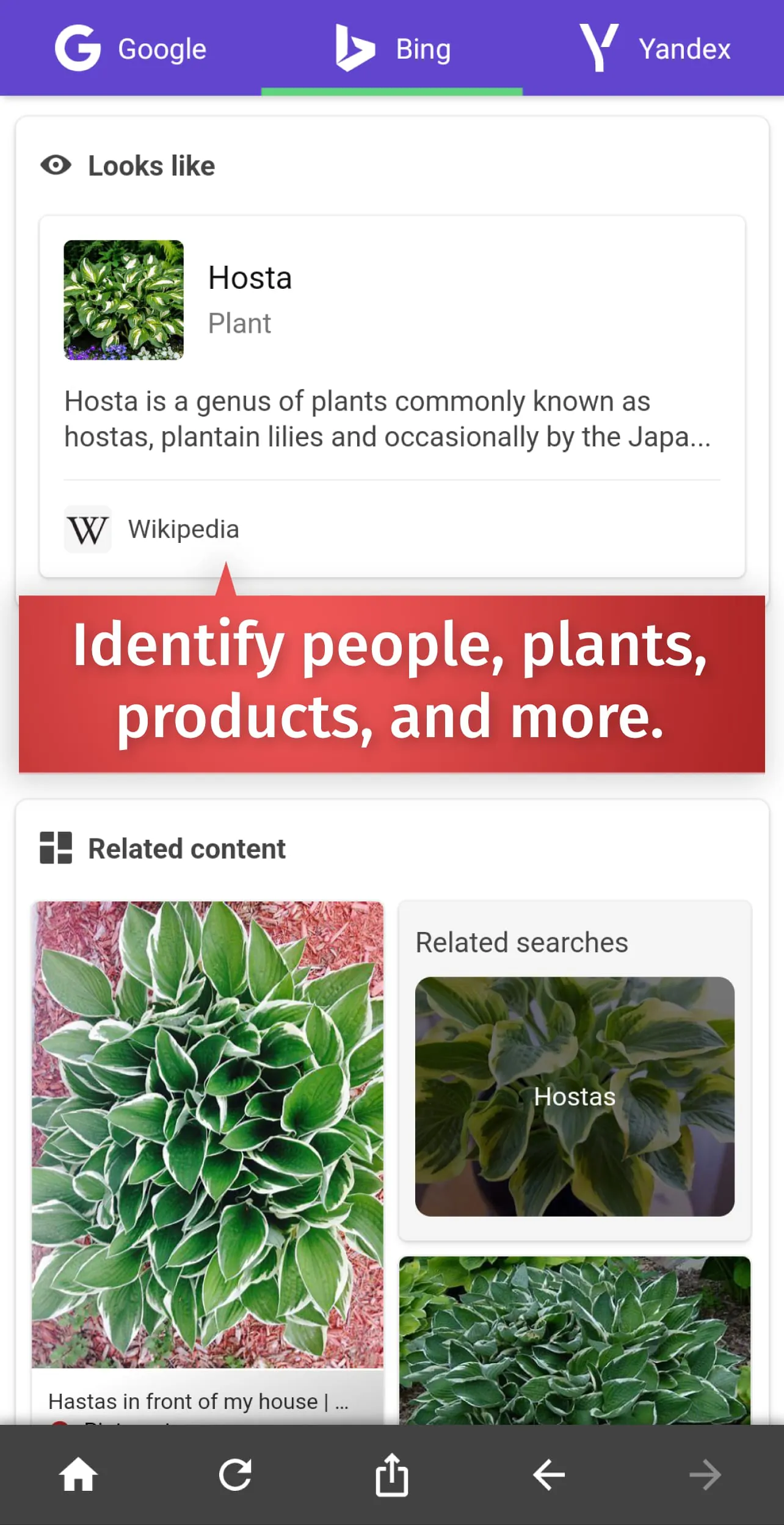 Reverse Image Search – RIMG