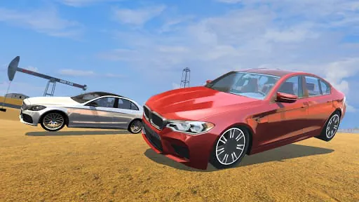 Car Sim M5 and C63