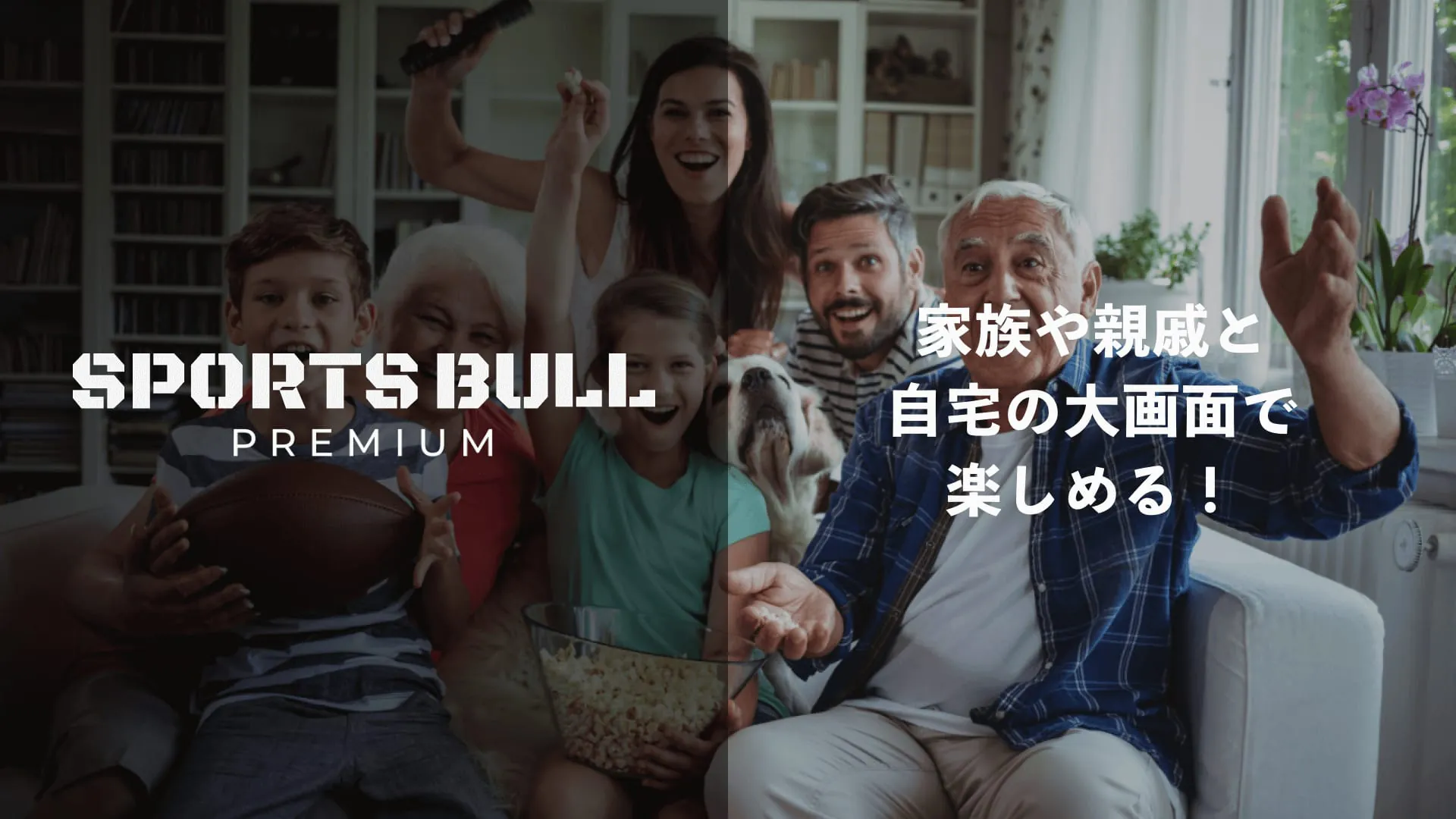 SPORTS BULL PREMIUM