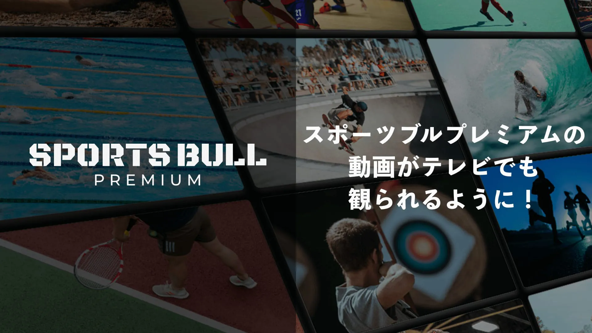 SPORTS BULL PREMIUM