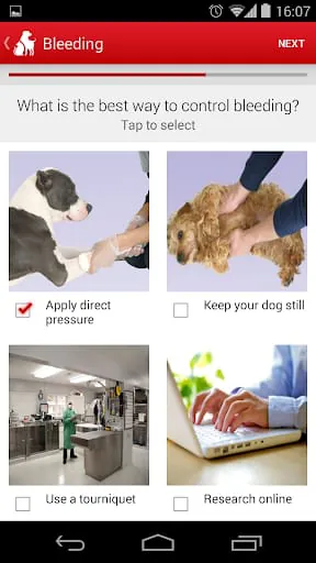 Pet First Aid