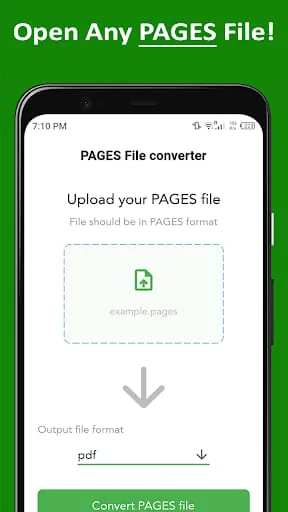 PAGES File Reader Opener PDF