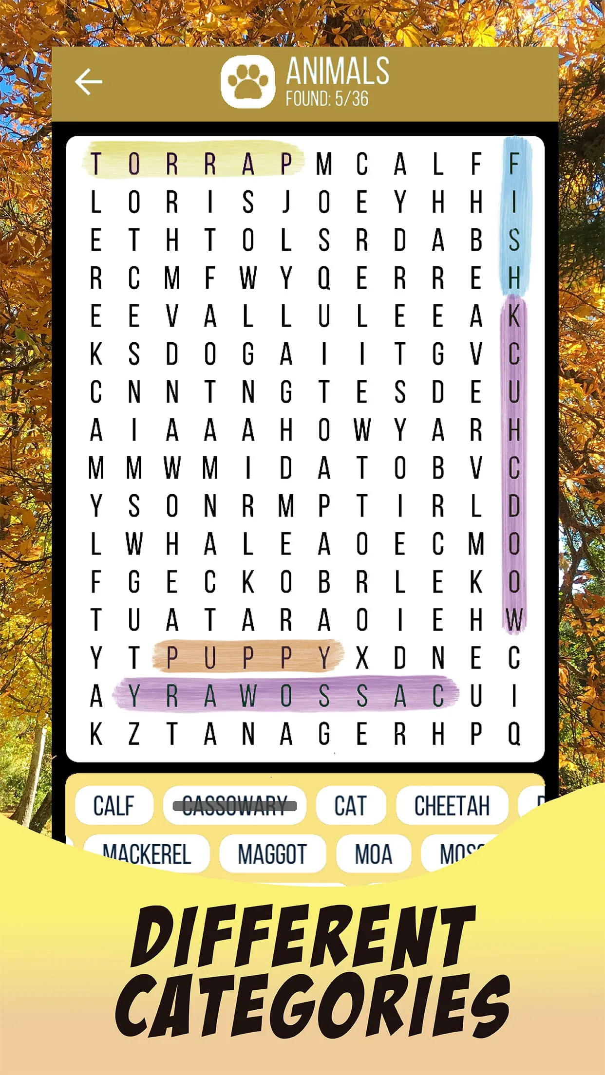 Word Search – Word Games