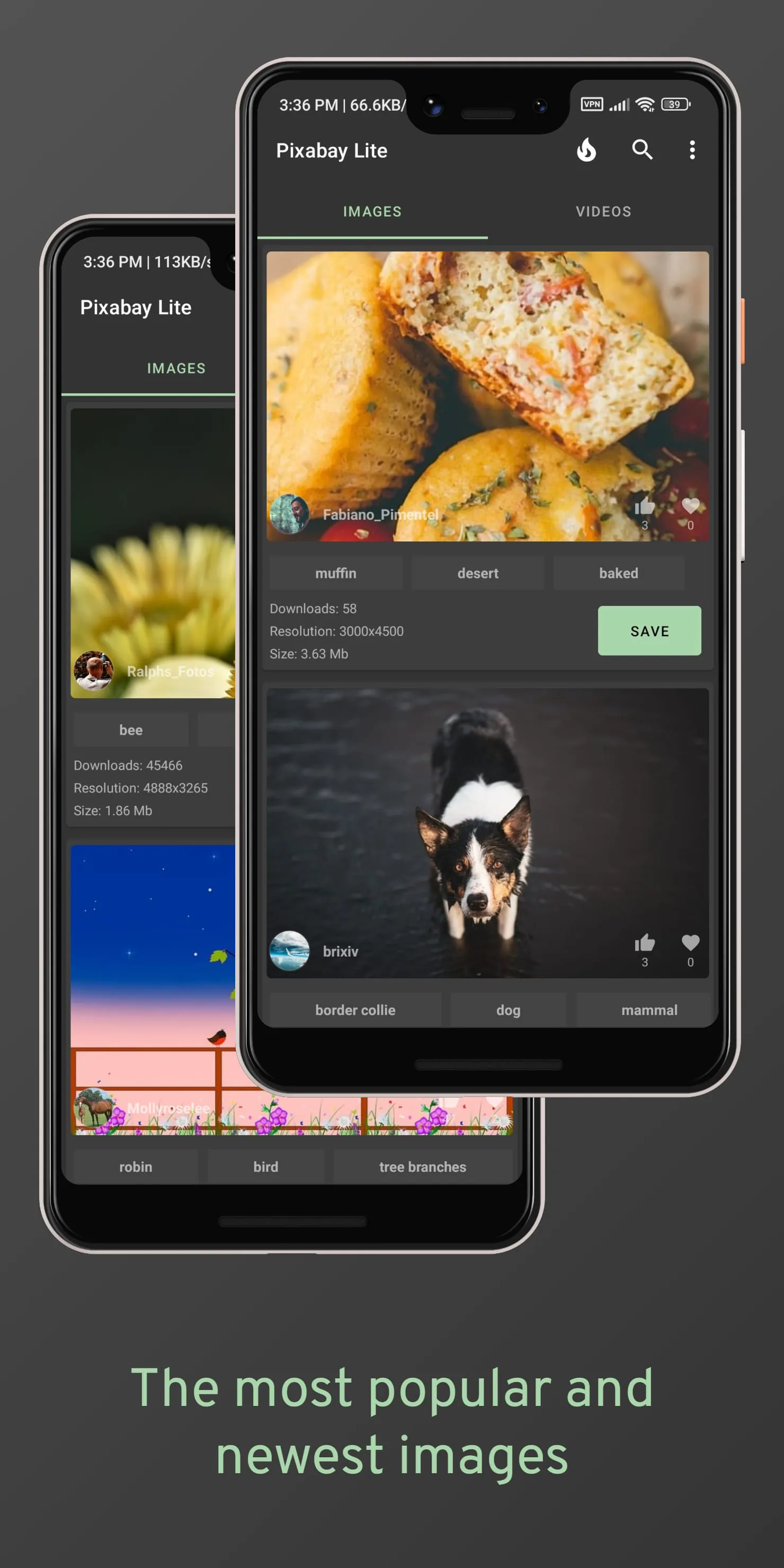 Pixabay Lite (images & videos)