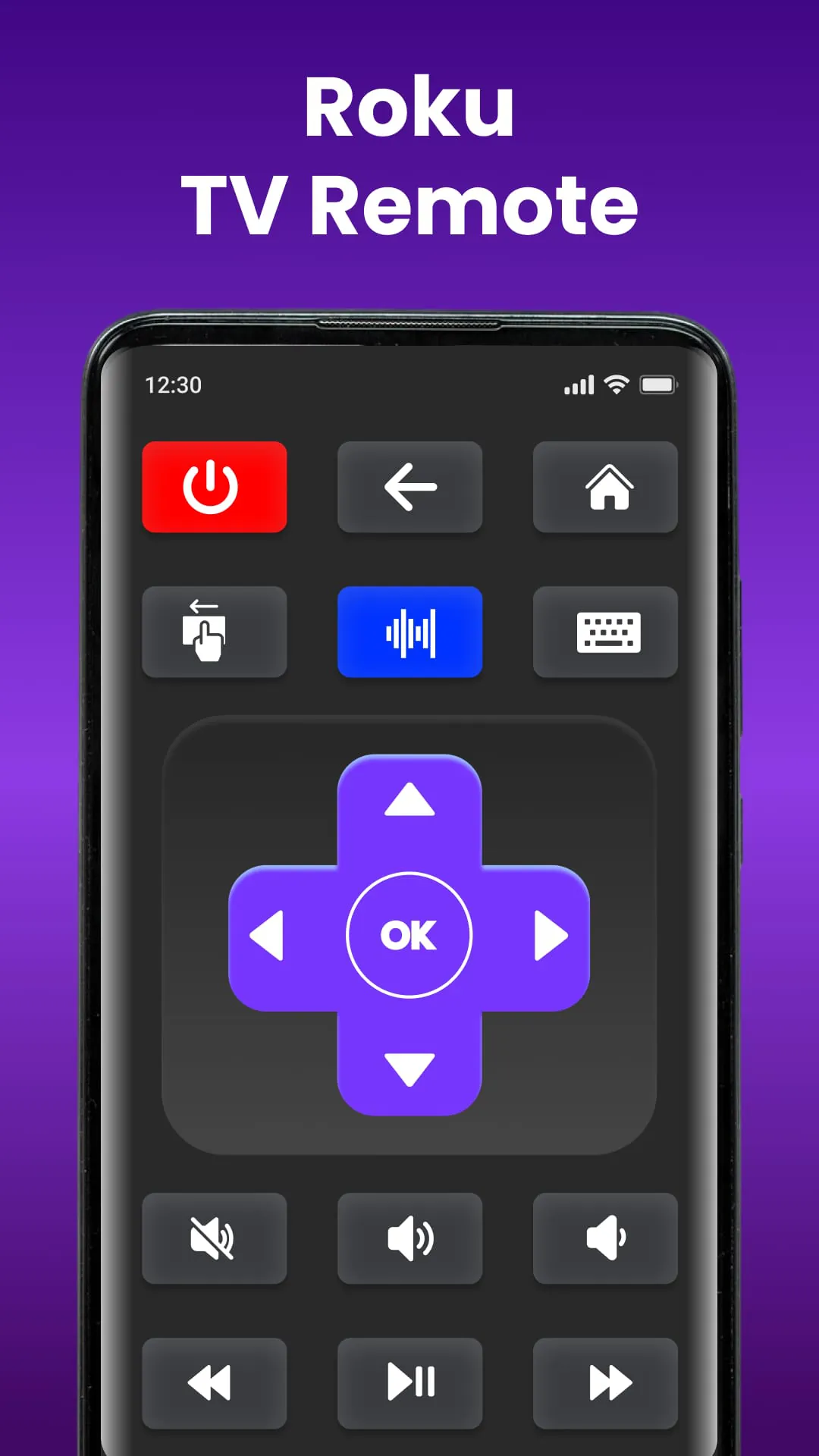 Universal TV Remote Control