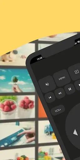 Universal TV Remote Control