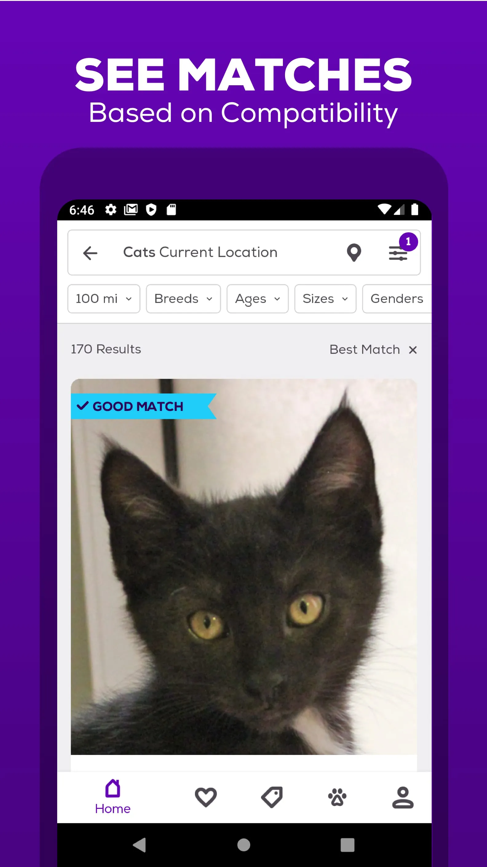 Petfinder