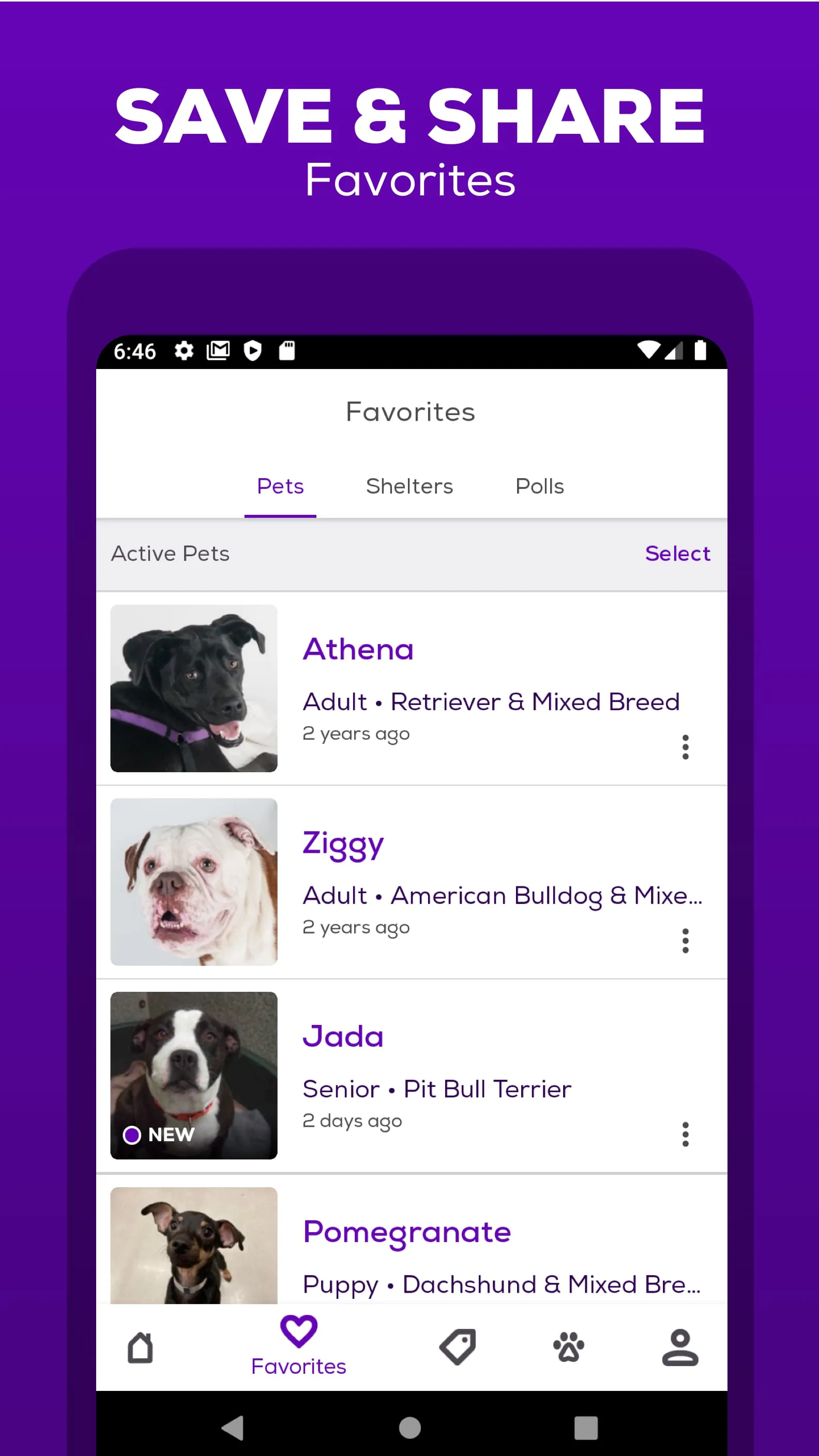 Petfinder