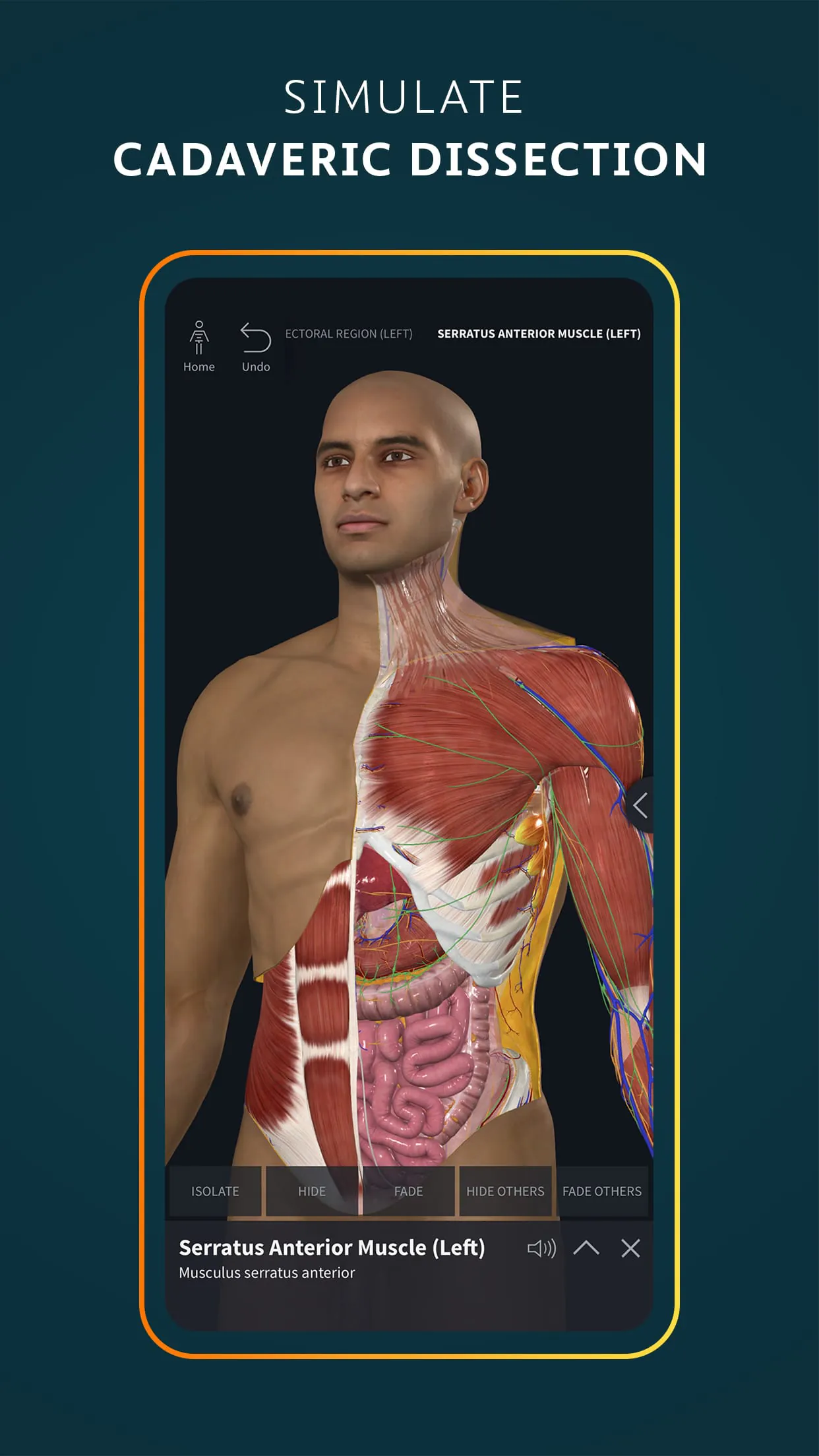 Complete Anatomy