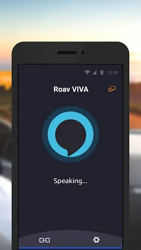 Roav VIVA