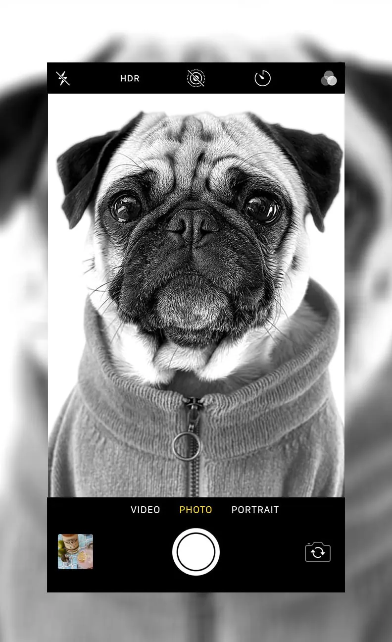 Selfie Camera iphone 15